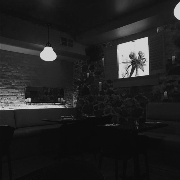 aly_mcleod